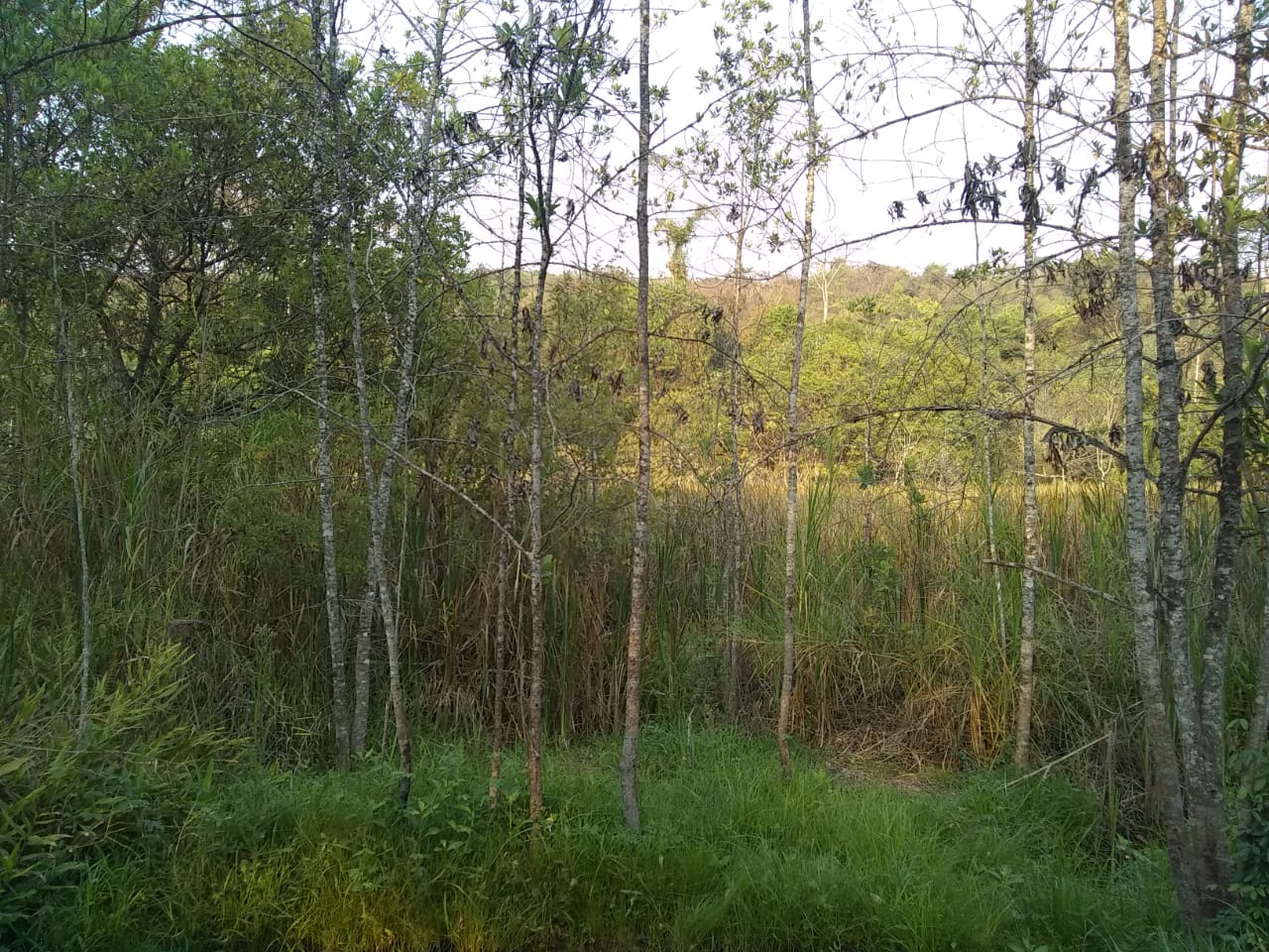 TERRENO A VENDA EM CAPIM BRANCO 